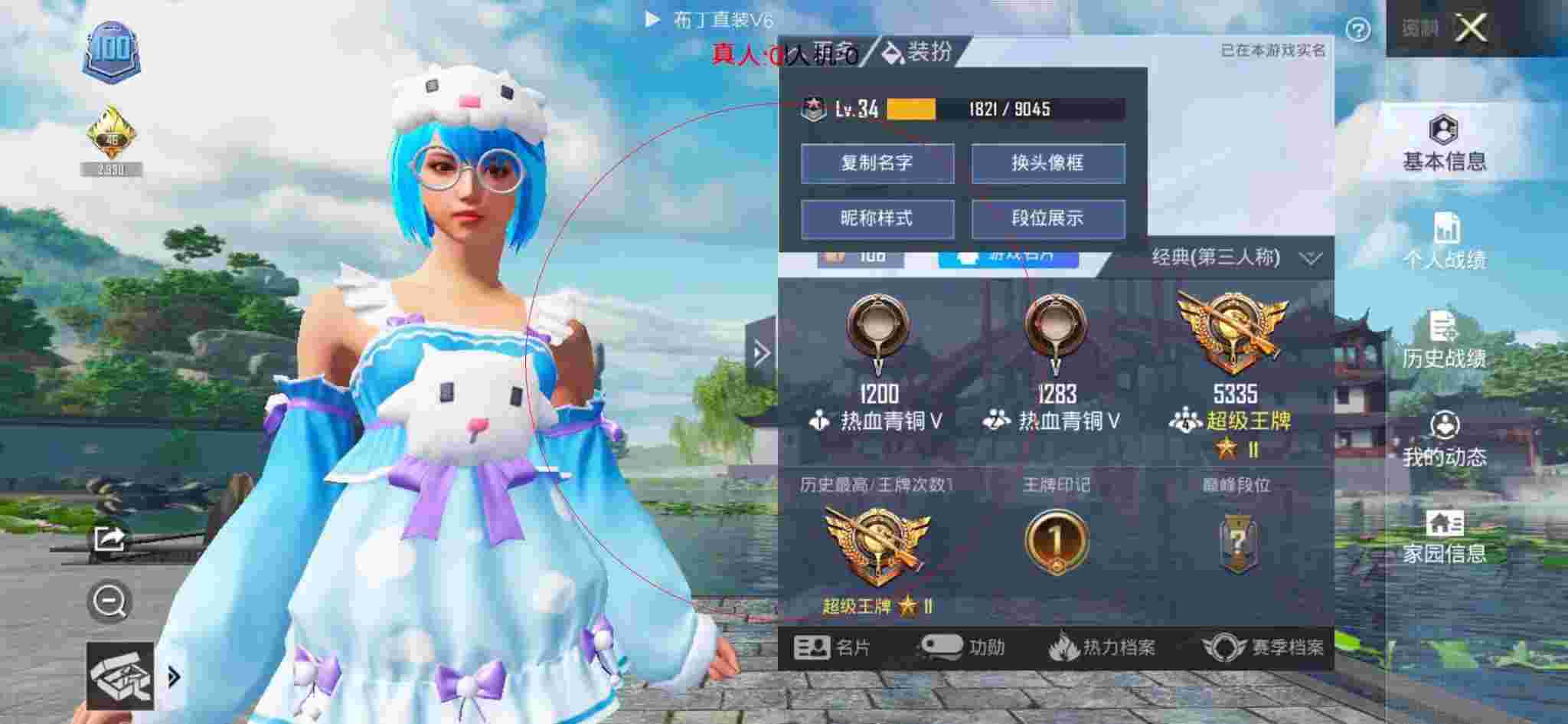 和平精英布丁直装透视 - 大白和平精英免费透视辅助辅助预览图